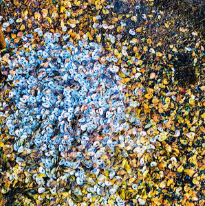 Meet your Posher, Marc